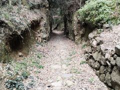 -众神白水涧景区