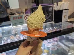 -野人先生现做冰淇淋(西安赛格店)