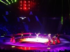 -珠海横琴长隆《卡卡虎奇遇记》