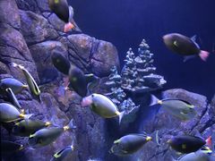 -成都浩海立方海洋公园