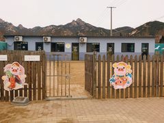 -趣玩宠物乐园寄养训犬训狗游泳池