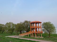 -湖南东洞庭湖国家级自然保护区