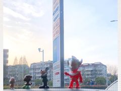-中国石油加油站(严桥路站)