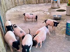 -水上乐园·欢乐世界