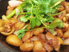 -瑞记湛江鸡饭店·粤西第一鸡(粤垦店)