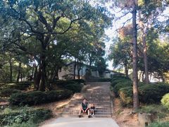 -灵岩山风景区