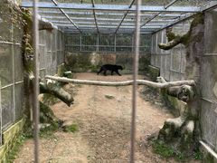 -宁波野生动物园