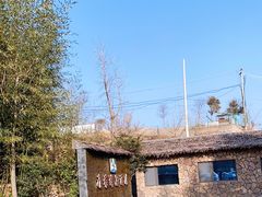 -清雅臻品·竹林院落·新派青岛菜(崂山店)