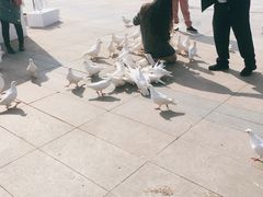 -成都华侨城欢乐里