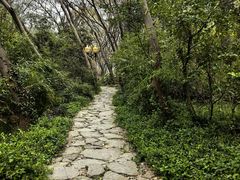 -句容茅山景区