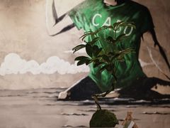 -CABO Coffee