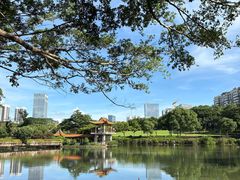-深圳龙潭公园