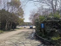 -胜华驾校·小猫学车(银都店)