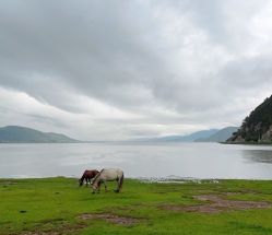 -纳帕海依拉草原