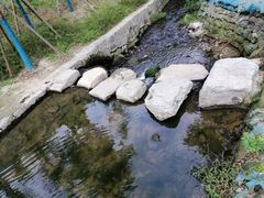 -白水寺森林公园