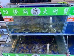 -阳澄湖大闸蟹·琼灵阁牌品牌连锁(吴中总店)