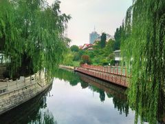 -教师之家赵家羊汤馆(东青龙街店)