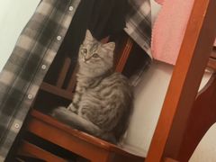 -瑞派宠物医院·中兽医专科(中央商城分院)