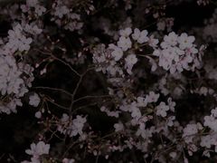 -龙美术馆(西岸馆)
