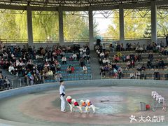 -石家庄市动物园