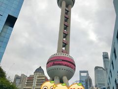 -上海大自然野生昆虫馆(东方明珠·爬宠昆虫探索中心)