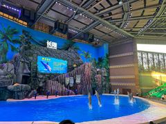 -珠海长隆海洋王国