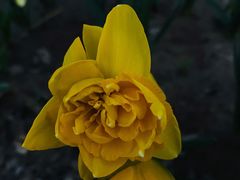 -廊坊文化艺术中心