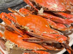 -码头鲜精致威海菜(欧乐坊店)