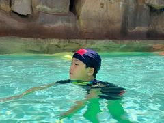 -杭州开元森泊度假乐园