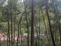 -黔灵山公园