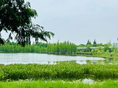 -白鹭湾湿地公园
