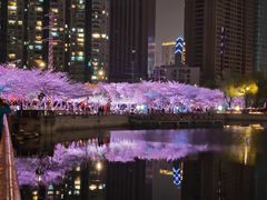 -西北湖绿化广场