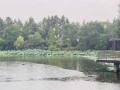 -上海怡沁园度假酒店