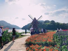 -广州市石门国家森林公园
