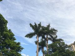 -深圳湾公园(南山区)