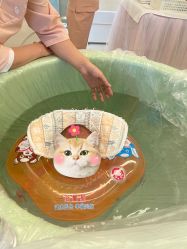 点击看大图 -月来悦好国际月子会所