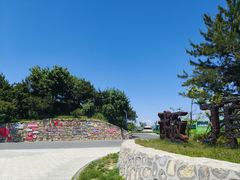 -王莽岭风景区