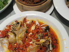 酱椒蒸鳕鱼-丽华园(汉阳龙阳店)