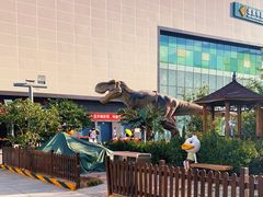 -北京华联购物中心(天通苑店)