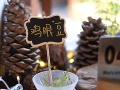 -饵块食光·云南有机手作饵块