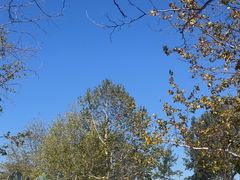 -南戴河国际娱乐中心