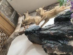 -乔家满族八大碗(中兴路店)