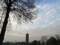 -葛仙湖公园