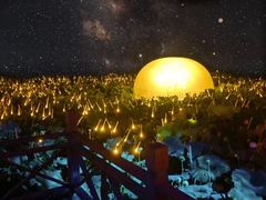 -枫林花海