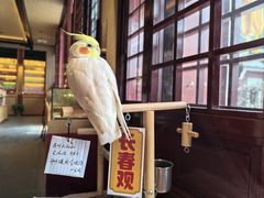 -长春观