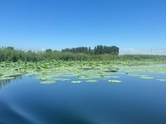 -白洋淀风景区