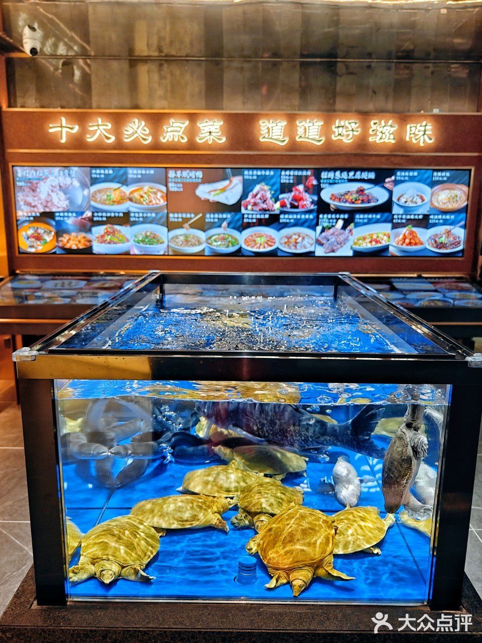 这家新店我已经替你试过了，引领海鲜新食尚‼️