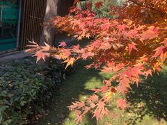 -木塔寺遗址生态公园