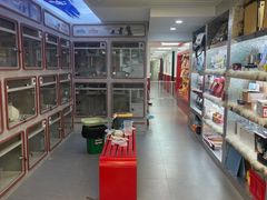 -主子在上·精致洗护·精品购宠连锁(杨浦黑钻店)