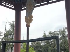 -关林